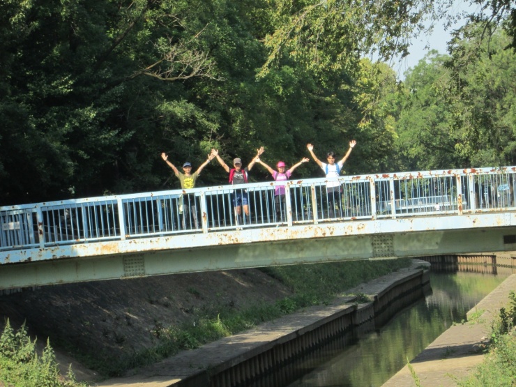 約４kmが善福寺川、川に沿ったジョギングコースを進みます。