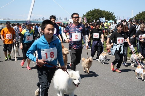 第8回ドッグマラソンin光が丘公園