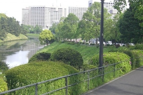 チーム気楽にハシロー　メンバー募集