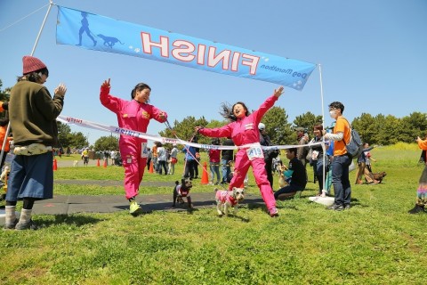 第8回ドッグマラソンin光が丘公園