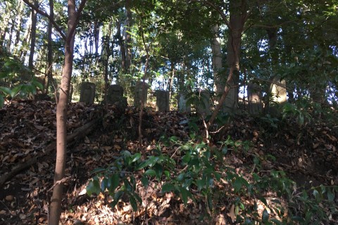 平日コソ練☆多摩のラビリンス迷宮★起伏120分ロングジョグ+