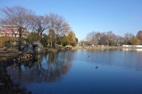 中村優ちゃんと観光de Running 『陸上ドラマで注目の行田市とイチゴ狩り』 ≪午後の部≫