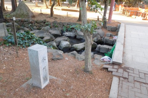 神田川３０k（井の頭公園から隅田川、スカイツリーの桜巡り）※モシコム主催者応援キャンペーン！