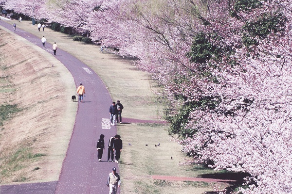 運河のある街 多摩川かぜのみちLSDコース（府中市） | e-moshicom（イー・モシコム）