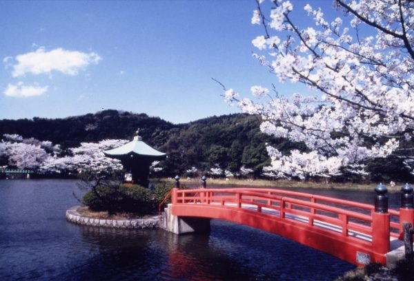 徳川義直の菩提寺!定光寺公園の足元ふかふかコース(瀬戸市)