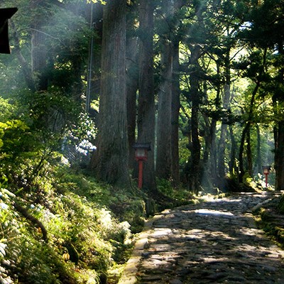 トレイルとロードを走る横手道～桝水周遊コース（大山町）