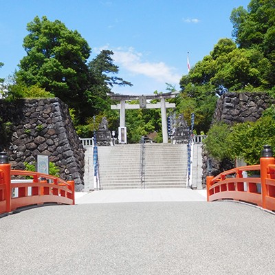 桜並木を走る！武田神社往復コース（甲府市）