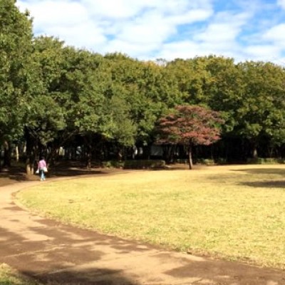 100周で100kmのリレー！行田公園周回コース（船橋市）