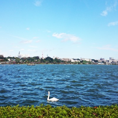 ランナーのオアシス・千波湖周回コース（水戸市）