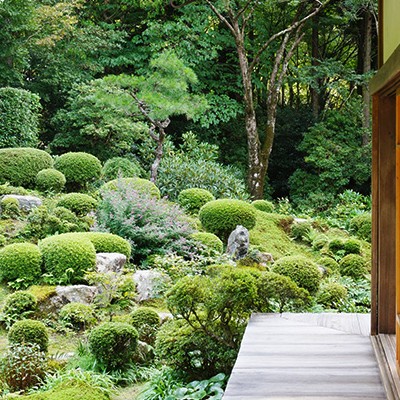 高野川を遡る！出町柳から大原三千院コース（京都市）