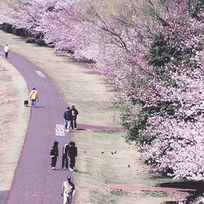多摩川かぜのみちＬＳＤコース（府中市）