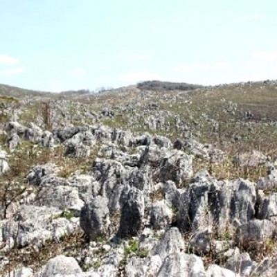 秋吉台カルスト台地コース（美祢市）