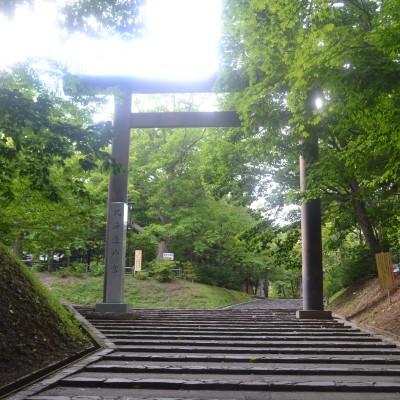 原始林に隣接！北海道神宮＆円山公園満喫コース（札幌市）