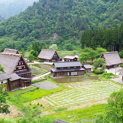 涼しく夏ラン！大自然を走れる八乙女山コース（南砺市）