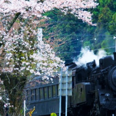 大井川鐡道ＳＬコース（島田市）