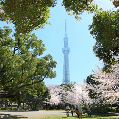 隅田川・スカイツリー眺望コース（台東区）