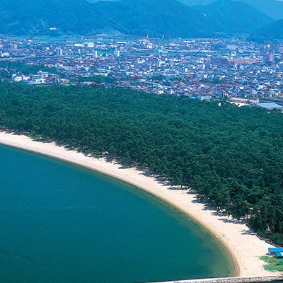 敦賀市内の観光地を走る敦賀マラソンコース（敦賀市）