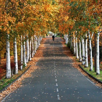 ノンストップで走れる！白石こころーどコース（札幌市）