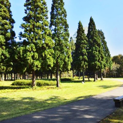景色抜群！北欧の杜公園～大館能代空港コース（北秋田市）