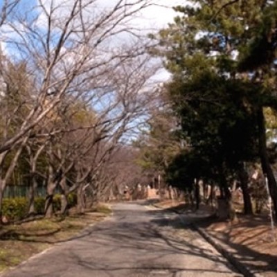 自然いっぱいの広大な公園。服部緑地コース（豊中市）