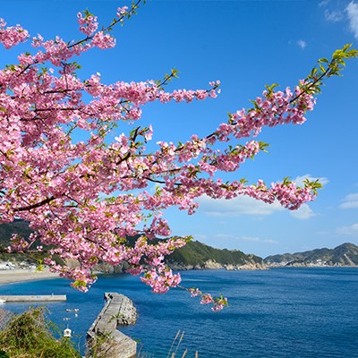 豊後水道満喫！絶景コース（津久見市）