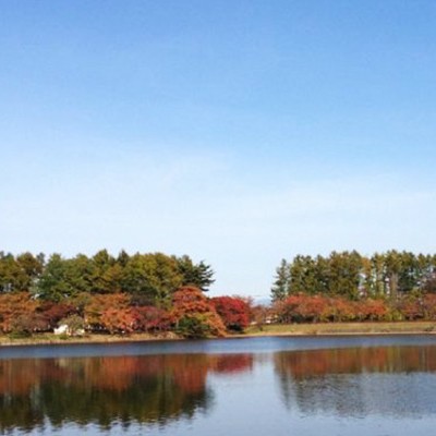 白鳥飛来の池から北上総合運動公園コース（北上市）