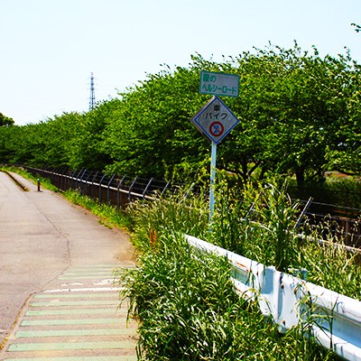 江戸時代の農業用水路！緑のヘルシーロードコース（蓮田市）