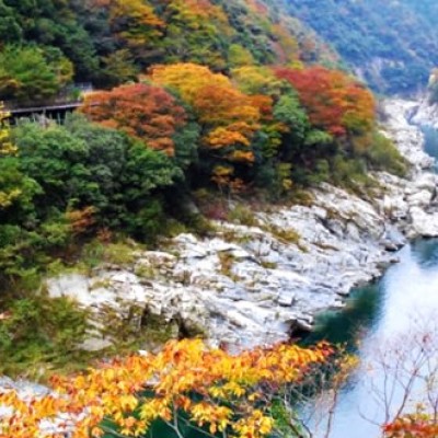 奇岩の渓谷。大歩危小歩危(おおぼけこぼけ)コース（三好市）