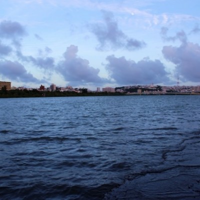 奥武山・漫湖周辺コース（那覇市）