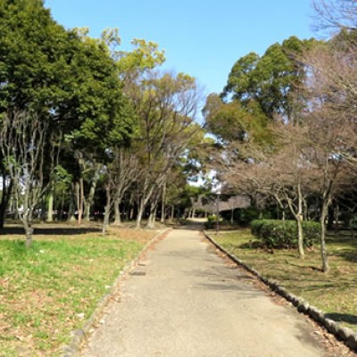 関西ランナーの聖地。長居公園周回コース（大阪市）
