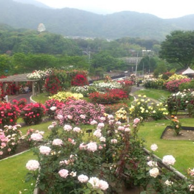 眺めのよい丘陵地。錦江湾公園周回コース（鹿児島市）