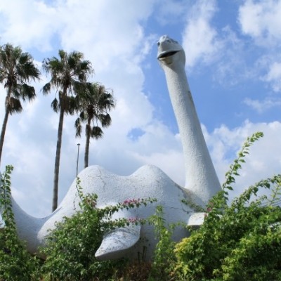 砂蒸し温泉とセットで！池田湖一周コース（指宿市）