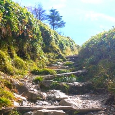 百名山で高地トレーニング！剣山コース（三好市）