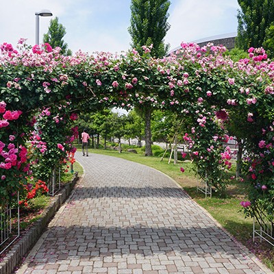 日本最大のサッカー場、埼玉スタジアム公園コース（さいたま市）
