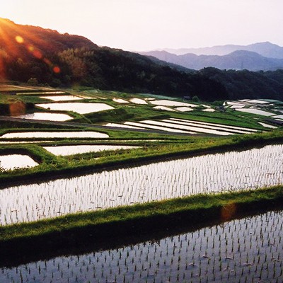 息をのむ絶景！海潮温泉から山王寺の棚田コース（雲南市）