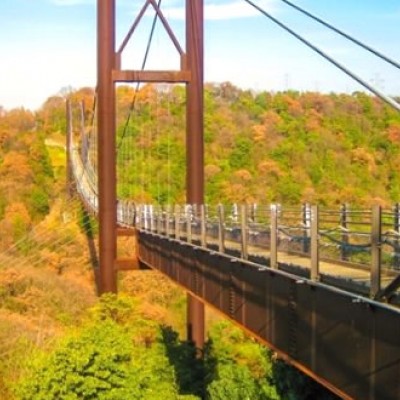 生駒山からの眺めを堪能！「星のブランコ」コース（交野市）