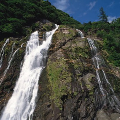 屋久島世界自然遺産コース（熊毛郡）