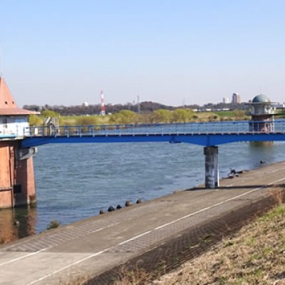 江戸川サイクリングコース（市川市）