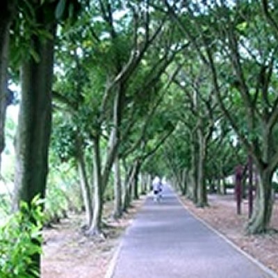 フラットな木陰道！産業道路沿い緑地公園コース（鹿児島市）