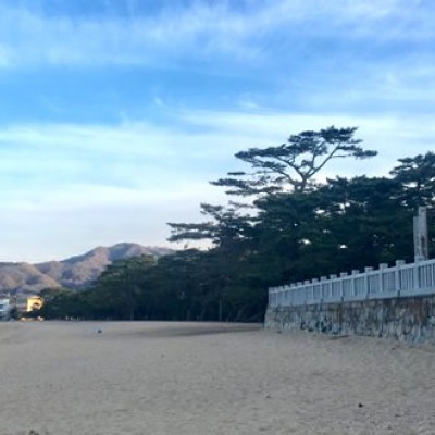 津田の松原・琴林公園コース（さぬき市）