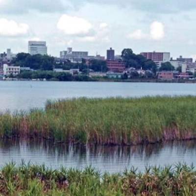 人気大会コースを体感！手賀沼一周コース（柏市）