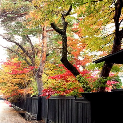みちのくの小京都角館・武家屋敷ランコース（仙北市）