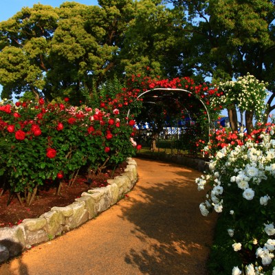 駕与丁（かよいちょう）公園の遊歩道コース（粕屋町）