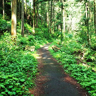 いくつもの峠越え！奥武蔵グリーンラインコース（毛呂山町）