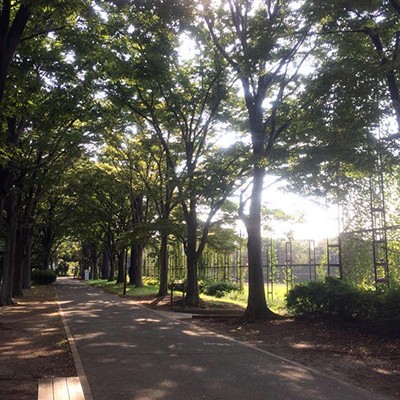 風を感じて走る！大井埠頭中央海浜公園コース（品川区）
