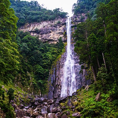那智高原公園から那智の滝往復コース（那智勝浦町）