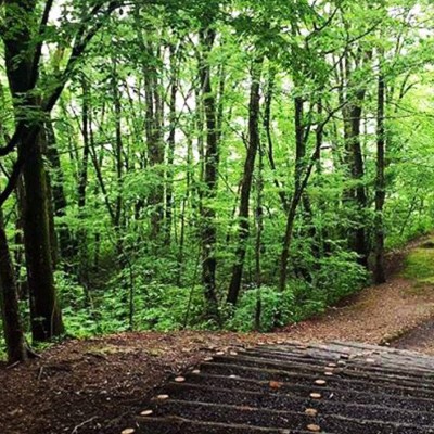 ランニングのメッカ！一つ森公園コース（秋田市）