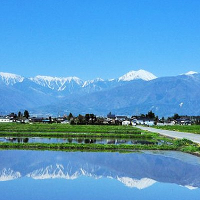 絶景！白鳥も飛来する安曇野田園コース（安曇野市）