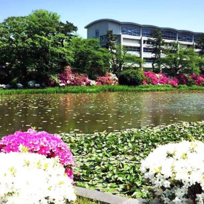 早朝におすすめ、秋田駅前プチ観光コース（秋田市）