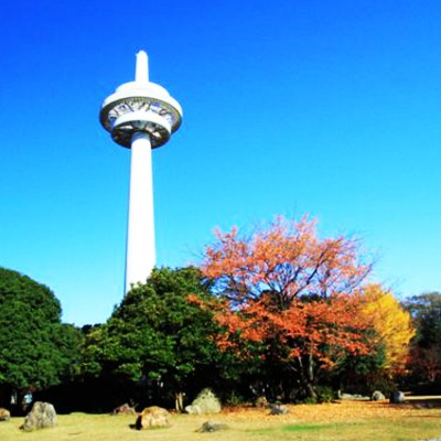 日本初の飛行場！所沢航空記念公園コース（所沢市）
